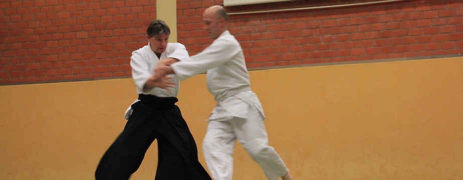 Aikido Training