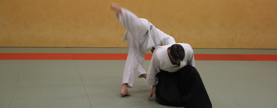 Aikido is rollen